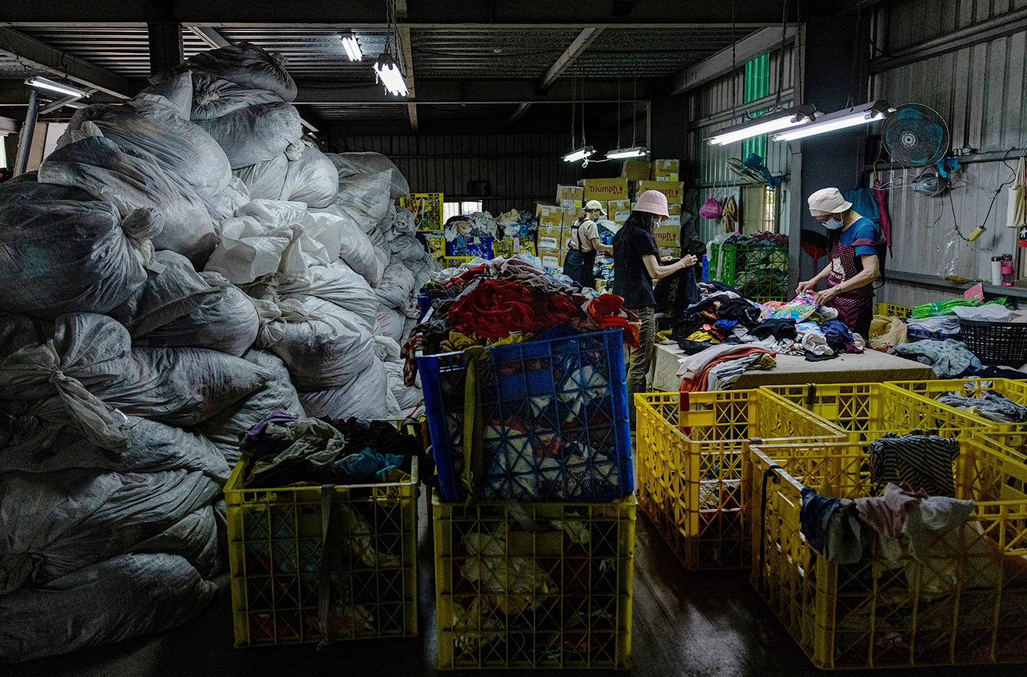 The Impact of Transparency in Shein’s Supply Chain on Consumer Behavior